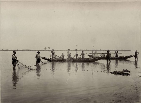 Folding of a large fishing net (a dragnet, alov) into a boat (SASA Archive, 14197/6)