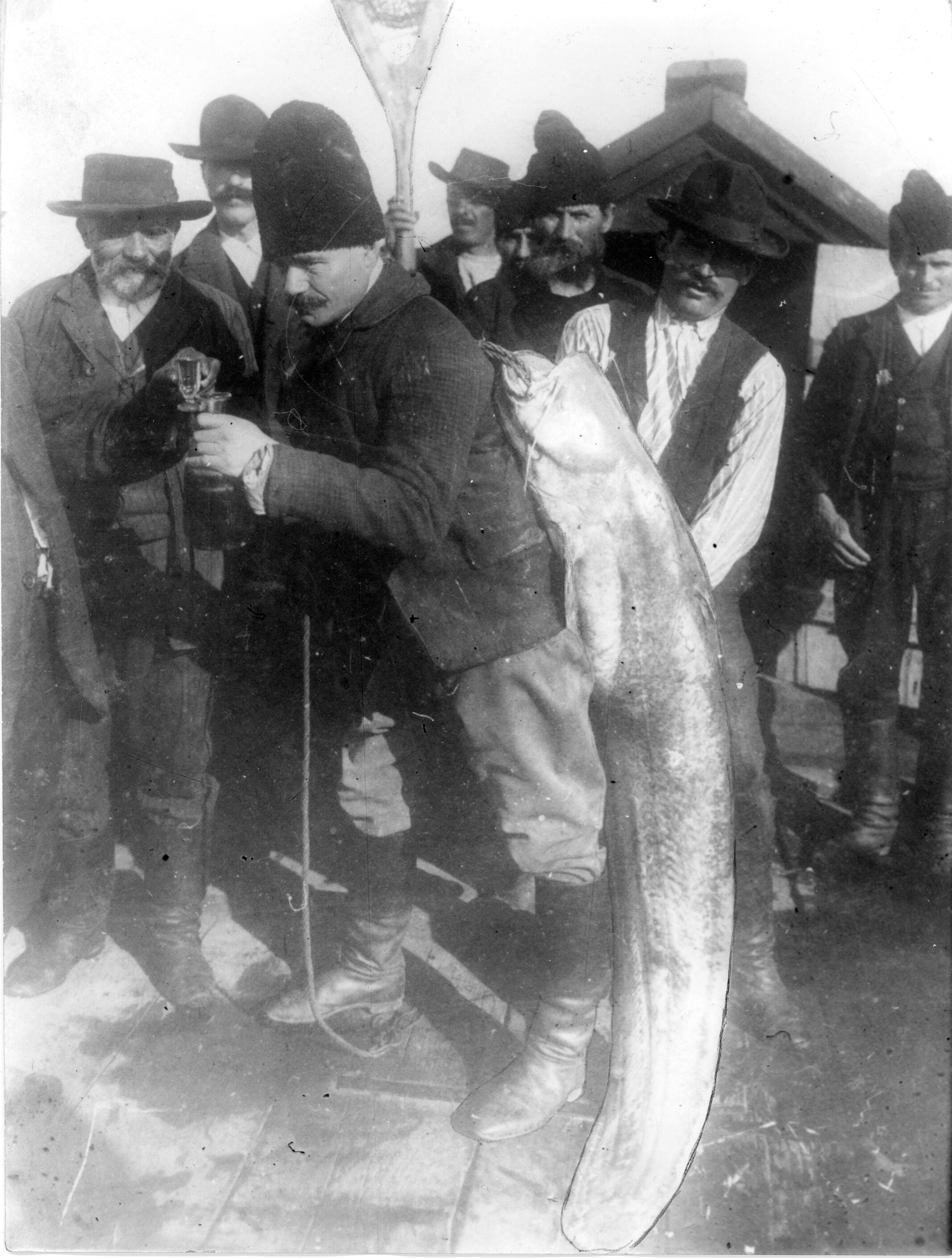 Mihailo Petrović with a caught catfish, weighing 124 kilograms (December 5, 1913) (SASA Archive, 14188/28)